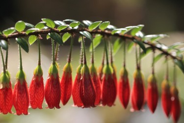 中山西区私人快速借钱网，轻松解决资金难题
